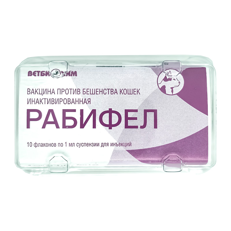 Рабифел